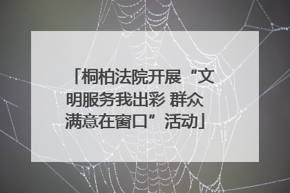 桐柏法院开展“文明服务我出彩 群众满意在窗口”活动