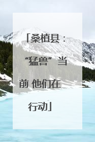桑植县：“猛兽”当前 他们在行动