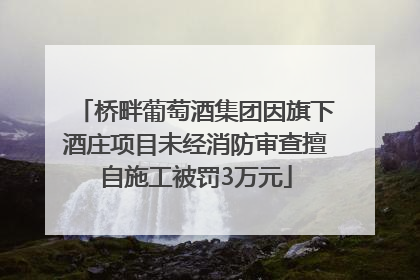 桥畔葡萄酒集团因旗下酒庄项目未经消防审查擅自施工被罚3万元