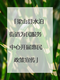 梁山县水泊街道为民服务中心开展惠民政策宣传