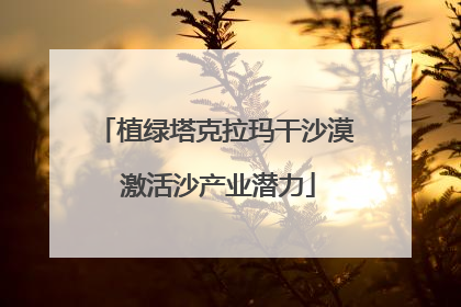 植绿塔克拉玛干沙漠 激活沙产业潜力