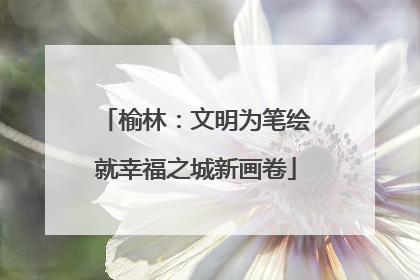 榆林：文明为笔绘就幸福之城新画卷