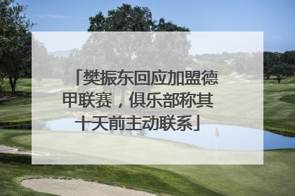 樊振东回应加盟德甲联赛，俱乐部称其十天前主动联系
