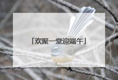 欢聚一堂迎端午