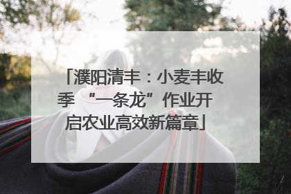 濮阳清丰：小麦丰收季 “一条龙”作业开启农业高效新篇章