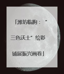潍坊临朐：“三色沃土”绘彩铺展振兴画卷