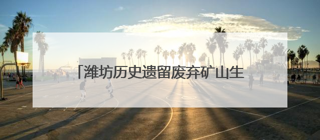 潍坊历史遗留废弃矿山生态修复工程获国家示范