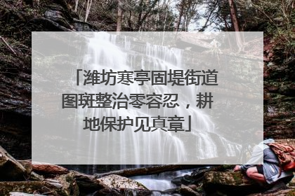 潍坊寒亭固堤街道图斑整治零容忍，耕地保护见真章