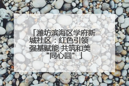 潍坊滨海区学府新城社区：红色引领 强基赋能 共筑和美“同心圆”