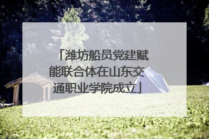 潍坊船员党建赋能联合体在山东交通职业学院成立