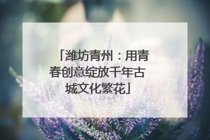 潍坊青州：用青春创意绽放千年古城文化繁花