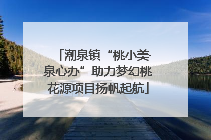 潮泉镇“桃小美·泉心办”助力梦幻桃花源项目扬帆起航
