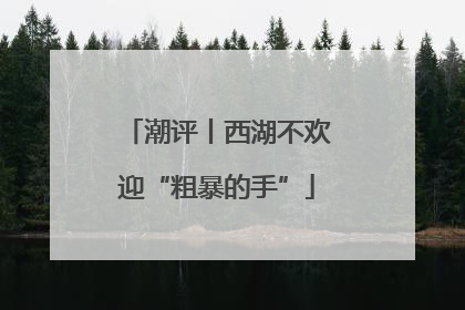 潮评丨西湖不欢迎“粗暴的手”