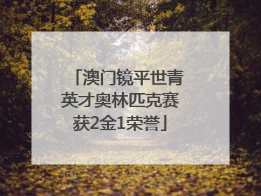 澳门镜平世青英才奥林匹克赛获2金1荣誉