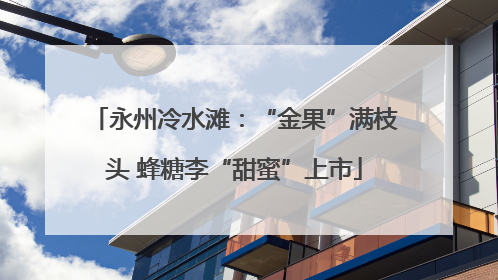 永州冷水滩：“金果”满枝头 蜂糖李“甜蜜”上市