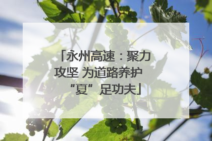 永州高速：聚力攻坚 为道路养护“夏”足功夫