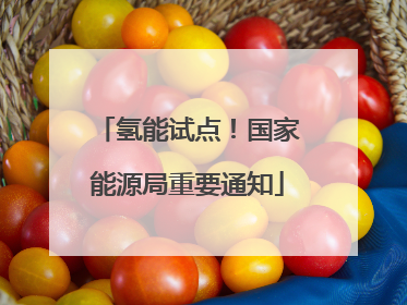 氢能试点！国家能源局重要通知