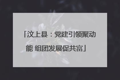 汶上县：党建引领聚动能 组团发展促共富