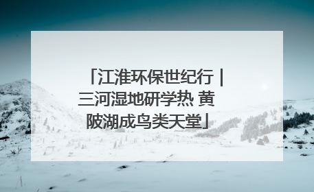 江淮环保世纪行｜三河湿地研学热 黄陂湖成鸟类天堂