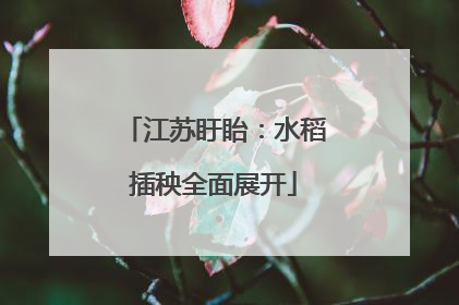 江苏盱眙：水稻插秧全面展开