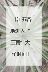 江苏各地进入“三夏”大忙时间