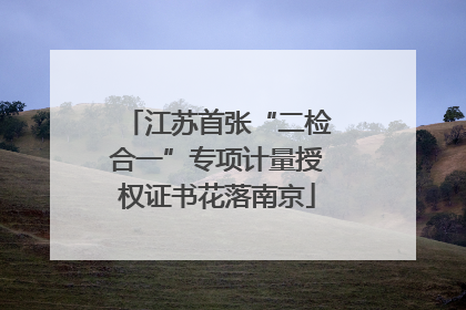 江苏首张“二检合一”专项计量授权证书花落南京