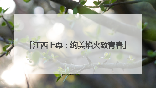 江西上栗：绚美焰火致青春