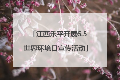 江西乐平开展6.5世界环境日宣传活动