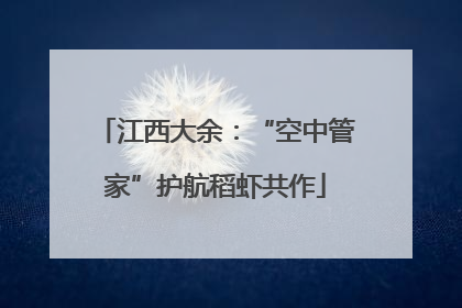 江西大余：“空中管家”护航稻虾共作