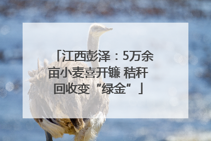 江西彭泽:5万余亩小麦喜开镰 秸秆回收变“绿金”
