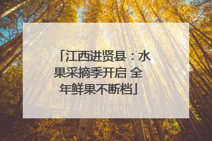 江西进贤县：水果采摘季开启 全年鲜果不断档