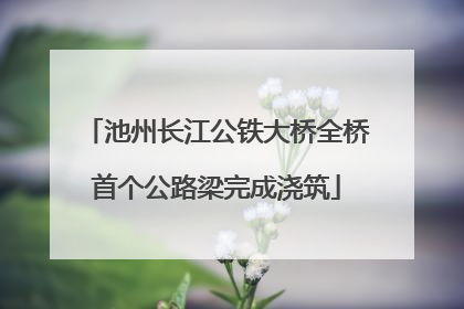 池州长江公铁大桥全桥首个公路梁完成浇筑
