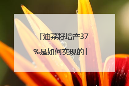 油菜籽增产37%是如何实现的