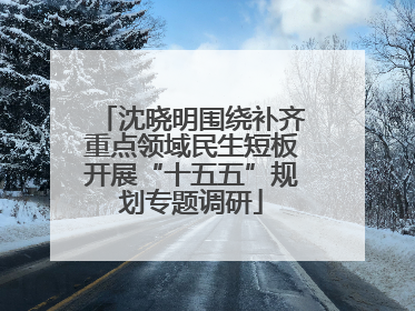 沈晓明围绕补齐重点领域民生短板开展“十五五”规划专题调研