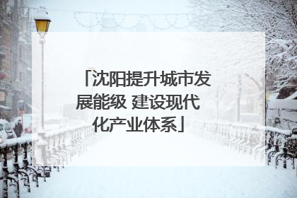 沈阳提升城市发展能级 建设现代化产业体系