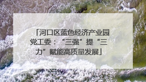 河口区蓝色经济产业园党工委：“三强”提“三力”赋能高质量发展