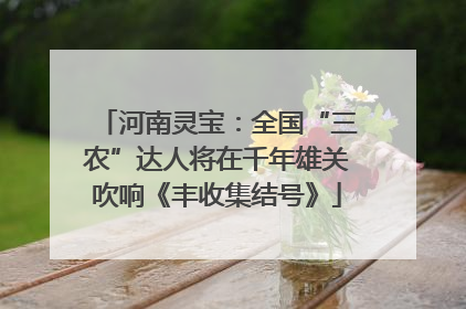 河南灵宝：全国“三农”达人将在千年雄关吹响《丰收集结号》