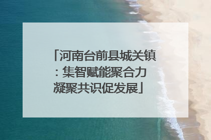河南台前县城关镇：集智赋能聚合力 凝聚共识促发展