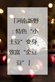 河南新野：特色“小土豆”变身致富“金豆豆”