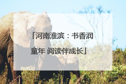河南淮滨：书香润童年 阅读伴成长
