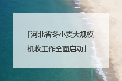 河北省冬小麦大规模机收工作全面启动
