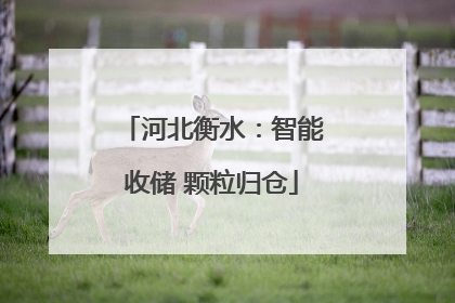 河北衡水：智能收储 颗粒归仓