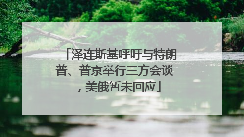 泽连斯基呼吁与特朗普、普京举行三方会谈，美俄暂未回应
