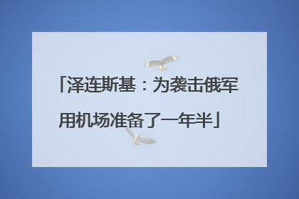 泽连斯基：为袭击俄军用机场准备了一年半