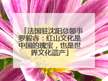 法国驻沈阳总领事罗毅睿：红山文化是中国的瑰宝，也是世界文化遗产