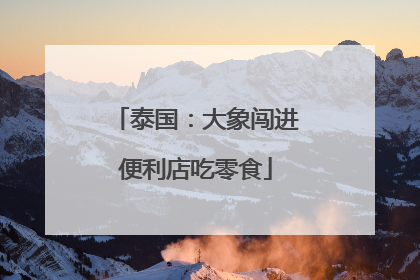 泰国：大象闯进便利店吃零食