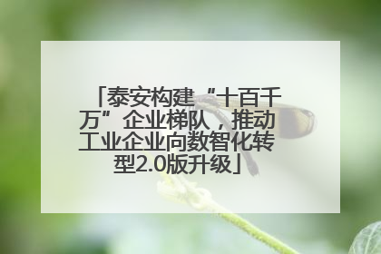 泰安构建“十百千万”企业梯队，推动工业企业向数智化转型2.0版升级