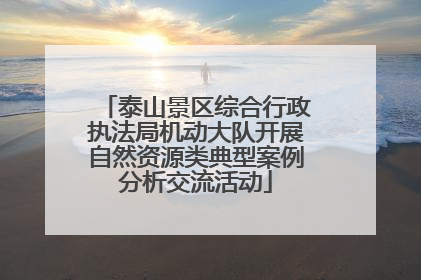 泰山景区综合行政执法局机动大队开展自然资源类典型案例分析交流活动