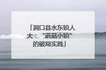 洞口县水东镇人大：“蘑菇小镇”的破局实践