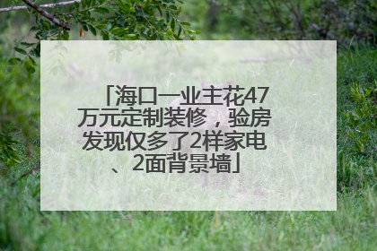 海口一业主花47万元定制装修，验房发现仅多了2样家电、2面背景墙